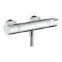 Hansgrohe Ecostat 1001 CL - Sprchový termostat na stenu, chróm 13211000