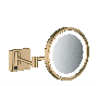 Hansgrohe AddStoris - Kozmetické zrkadlo s LED osvetlením, kartáčovaný bronz 41790140